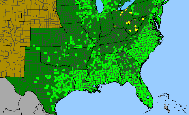 The range of Nuttallanthus canadensis